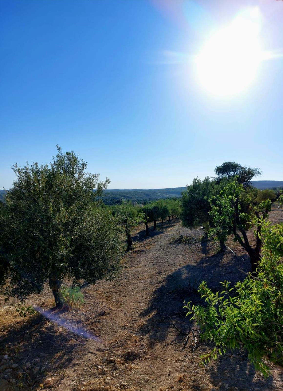 "Bnb Noto" - Charming Tiny House 外观 照片