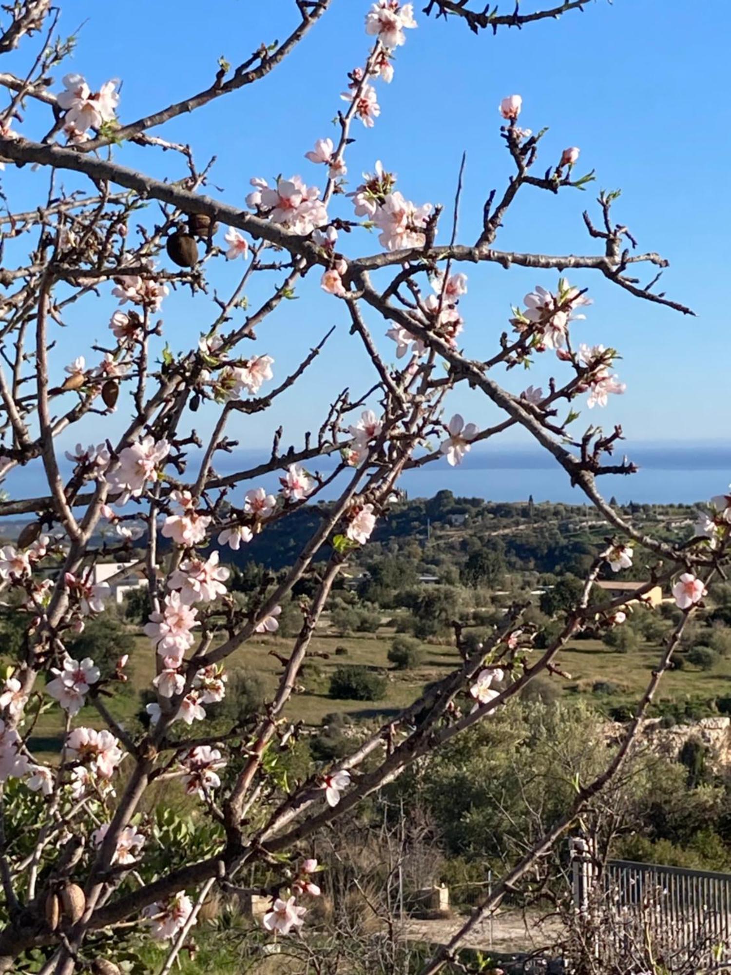 "Bnb Noto" - Charming Tiny House 外观 照片